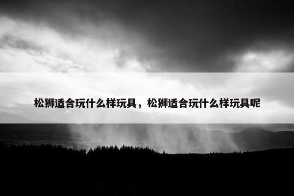 松狮适合玩什么样玩具，松狮适合玩什么样玩具呢