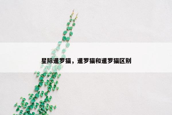 星际暹罗猫，暹罗猫和暹罗猫区别