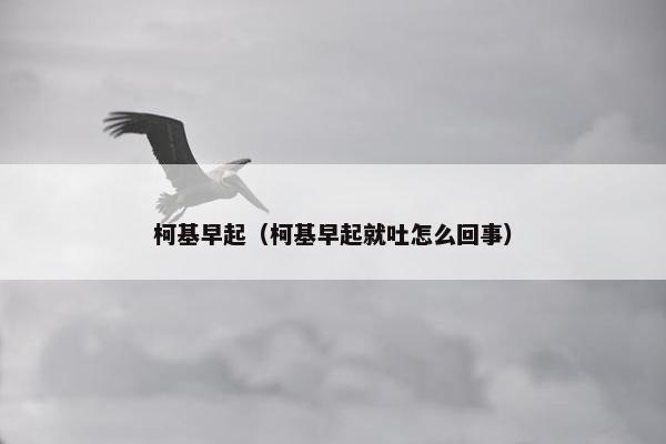 柯基早起（柯基早起就吐怎么回事）