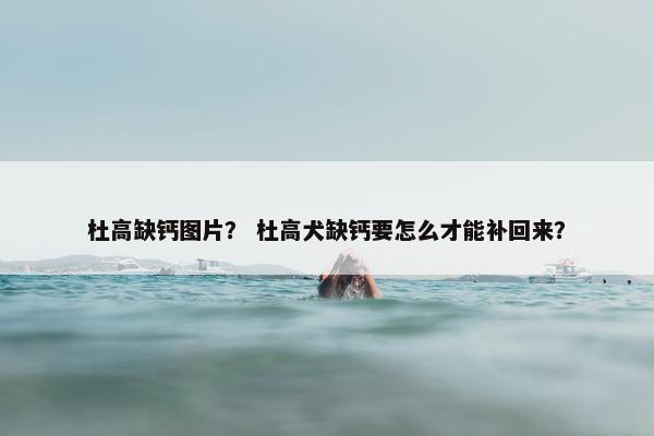 杜高缺钙图片？ 杜高犬缺钙要怎么才能补回来？