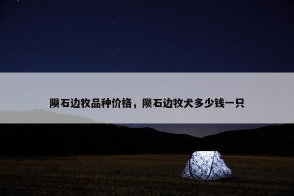 陨石边牧品种价格，陨石边牧犬多少钱一只