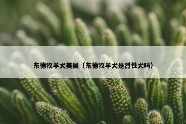 东德牧羊犬美国（东德牧羊犬是烈性犬吗）
