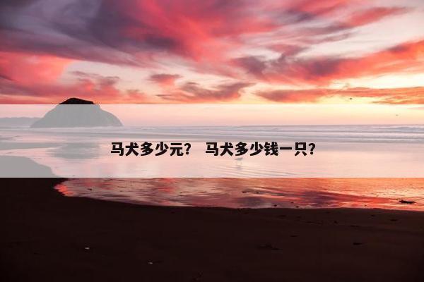 马犬多少元？ 马犬多少钱一只？