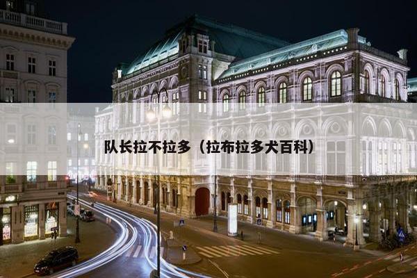 队长拉不拉多（拉布拉多犬百科）