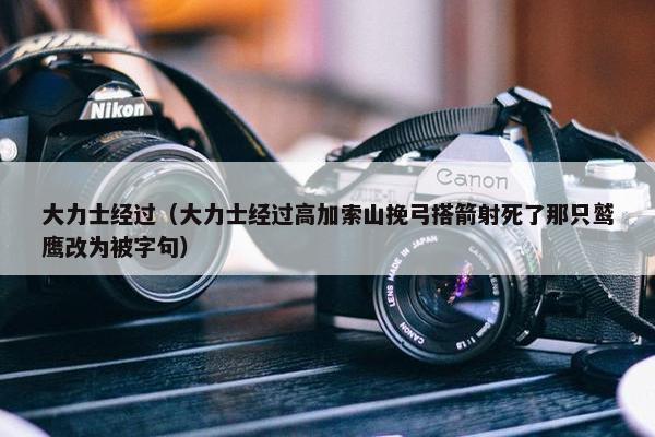 大力士经过（大力士经过高加索山挽弓搭箭射死了那只鹫鹰改为被字句）