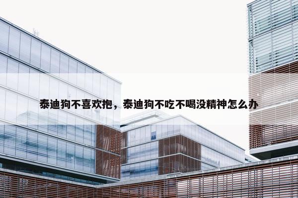 泰迪狗不喜欢抱，泰迪狗不吃不喝没精神怎么办