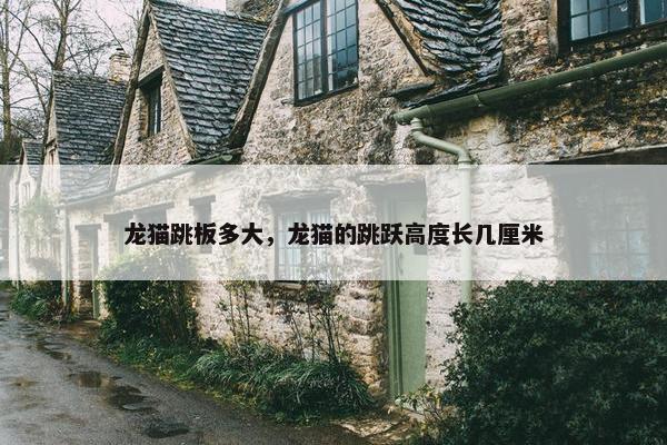 龙猫跳板多大，龙猫的跳跃高度长几厘米