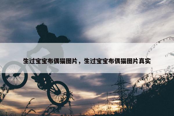 生过宝宝布偶猫图片，生过宝宝布偶猫图片真实