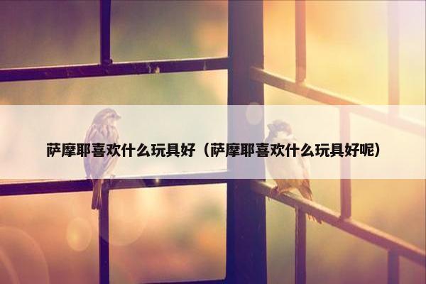 萨摩耶喜欢什么玩具好（萨摩耶喜欢什么玩具好呢）