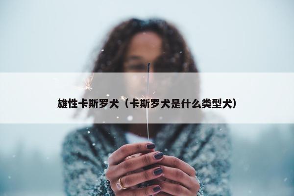雄性卡斯罗犬（卡斯罗犬是什么类型犬）