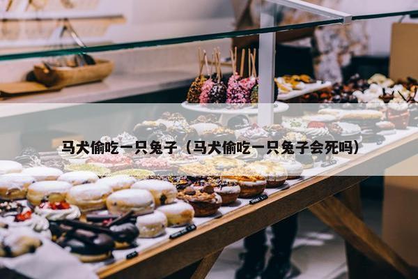 马犬偷吃一只兔子（马犬偷吃一只兔子会死吗）