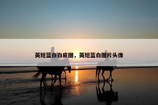 英短蓝白白底图，英短蓝白图片头像
