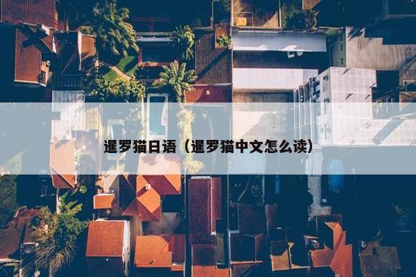 暹罗猫日语（暹罗猫中文怎么读）