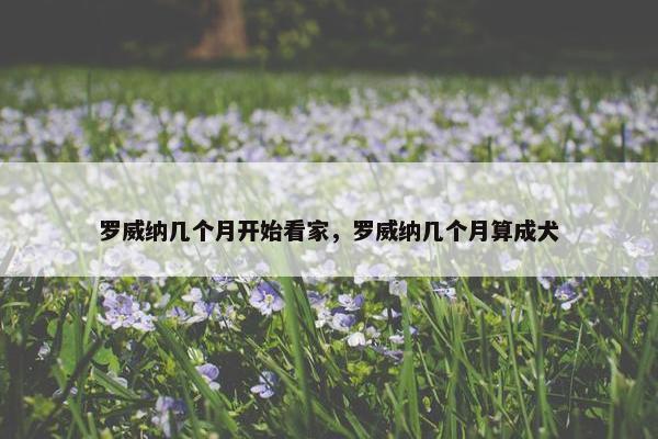 罗威纳几个月开始看家，罗威纳几个月算成犬