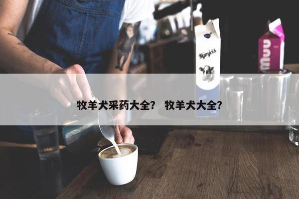 牧羊犬采药大全？ 牧羊犬大全？