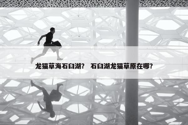 龙猫草海石臼湖？ 石臼湖龙猫草原在哪？