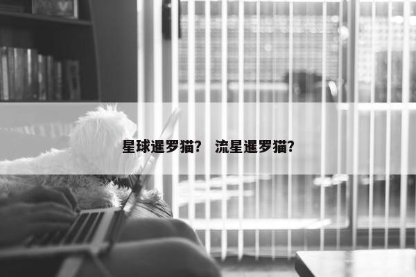 星球暹罗猫？ 流星暹罗猫？