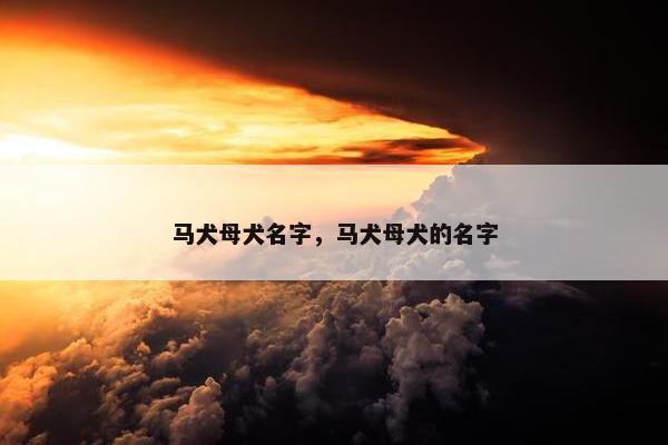 马犬母犬名字，马犬母犬的名字
