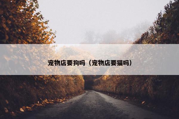 宠物店要狗吗（宠物店要猫吗）