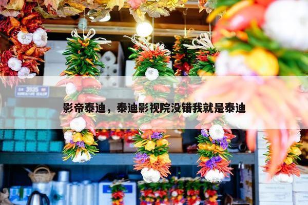 影帝泰迪，泰迪影视院没错我就是泰迪