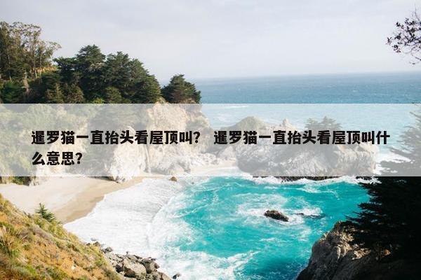 暹罗猫一直抬头看屋顶叫？ 暹罗猫一直抬头看屋顶叫什么意思？