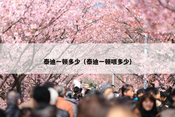 泰迪一顿多少（泰迪一顿喂多少）