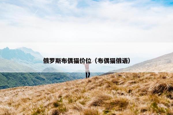 俄罗斯布偶猫价位（布偶猫俄语）