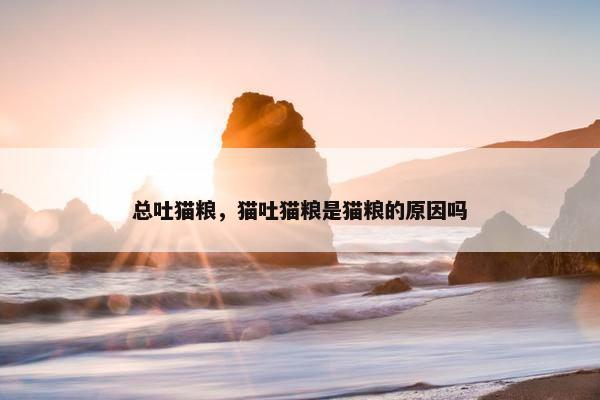 总吐猫粮，猫吐猫粮是猫粮的原因吗