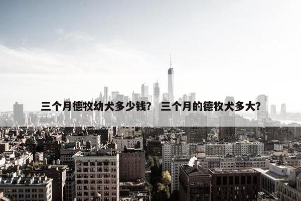 三个月德牧幼犬多少钱？ 三个月的德牧犬多大？