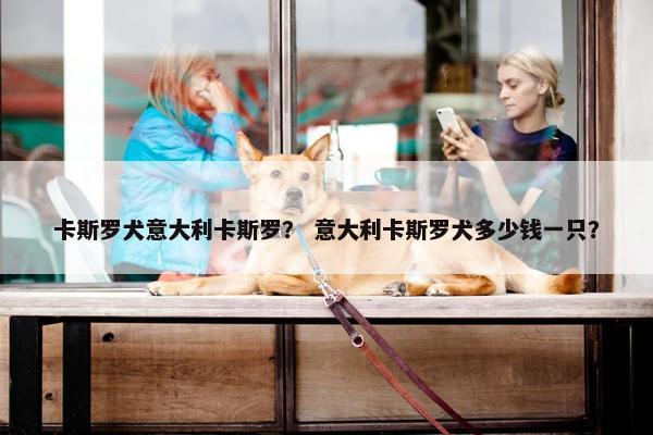 卡斯罗犬意大利卡斯罗？ 意大利卡斯罗犬多少钱一只？