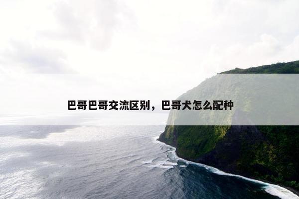巴哥巴哥交流区别，巴哥犬怎么配种
