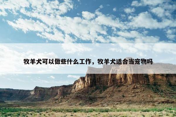牧羊犬可以做些什么工作，牧羊犬适合当宠物吗