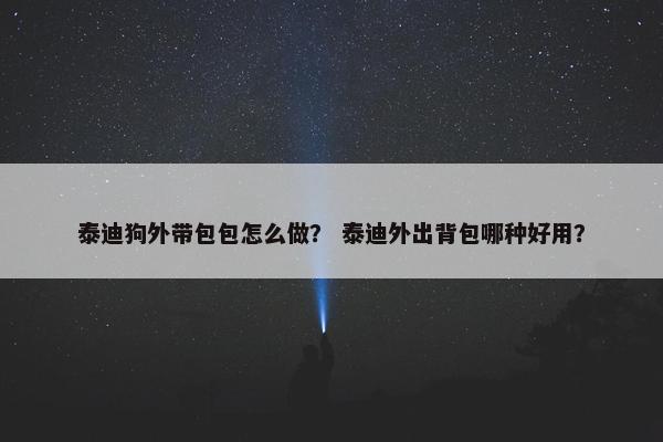 泰迪狗外带包包怎么做？ 泰迪外出背包哪种好用？