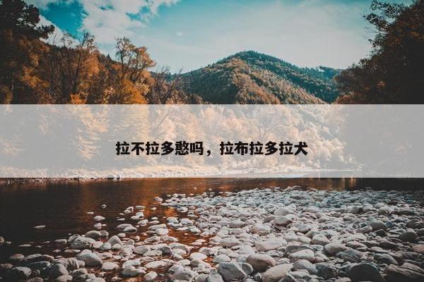 拉不拉多憨吗，拉布拉多拉犬