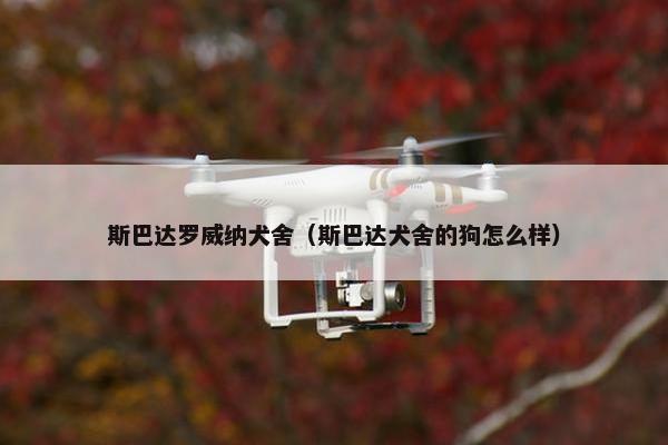 斯巴达罗威纳犬舍（斯巴达犬舍的狗怎么样）