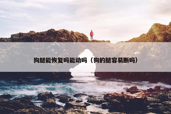 狗腿能恢复吗能动吗（狗的腿容易断吗）