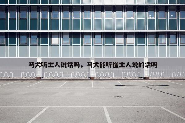 马犬听主人说话吗，马犬能听懂主人说的话吗