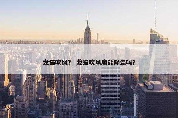 龙猫吹风？ 龙猫吹风扇能降温吗？