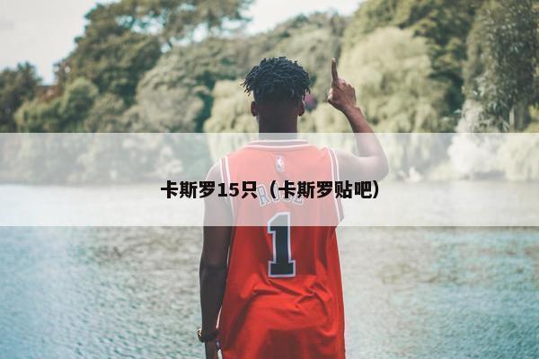 卡斯罗15只（卡斯罗贴吧）