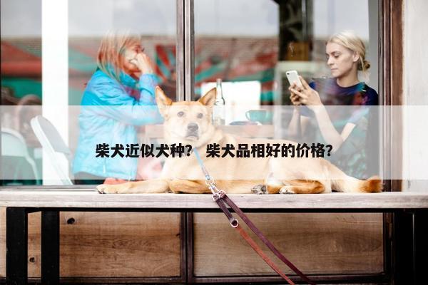 柴犬近似犬种？ 柴犬品相好的价格？