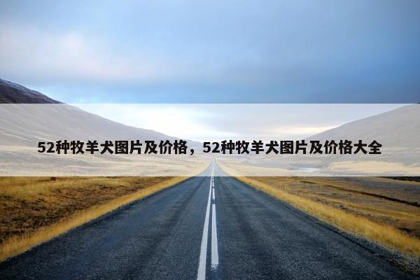 52种牧羊犬图片及价格，52种牧羊犬图片及价格大全