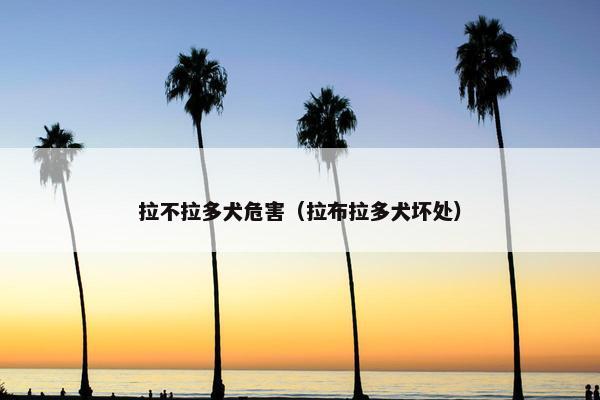 拉不拉多犬危害（拉布拉多犬坏处）