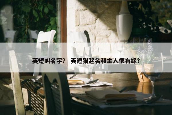 英短叫名字？ 英短猫起名和主人很有缘？