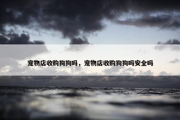 宠物店收购狗狗吗，宠物店收购狗狗吗安全吗