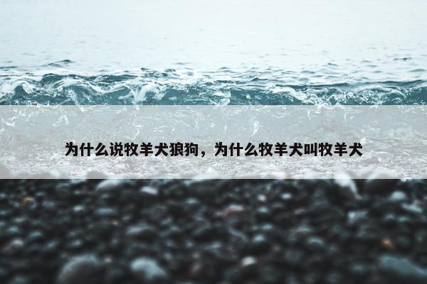 为什么说牧羊犬狼狗，为什么牧羊犬叫牧羊犬