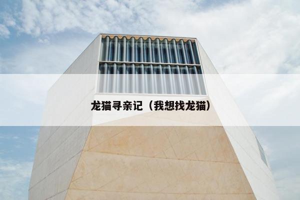 龙猫寻亲记（我想找龙猫）