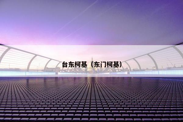 台东柯基（东门柯基）