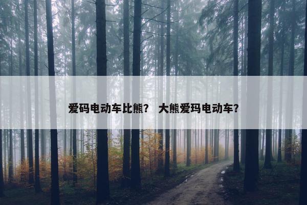 爱码电动车比熊？ 大熊爱玛电动车？