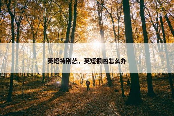 英短特别怂，英短很凶怎么办