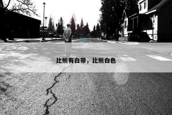 比熊有白带，比熊白色
